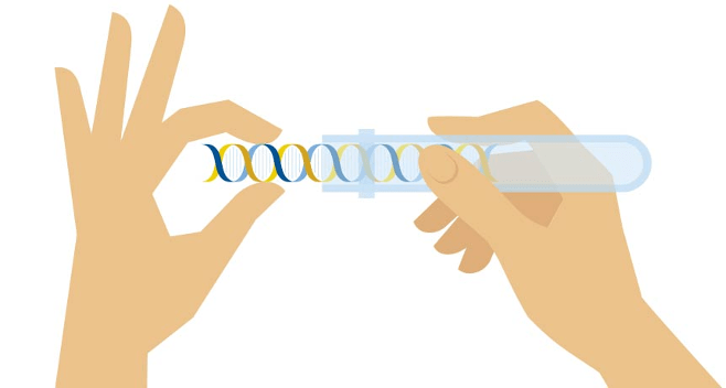 Germline Testing